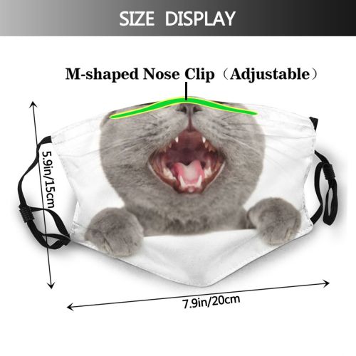 yanfind Crazy Isolated Interested Whisker Young Straight Cat Board British Cute Pure Shorthair Dust Washable Reusable Filter and Reusable Mouth Warm Windproof Cotton Face
