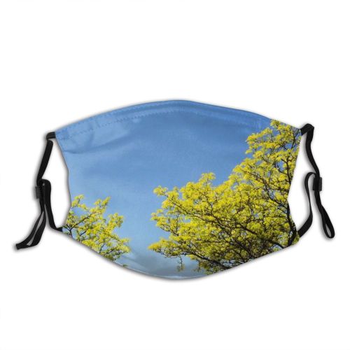 yanfind Spring Sky Spring Woody Leaves Landscape Sky Plant Light Branch Life Flower Dust Washable Reusable Filter and Reusable Mouth Warm Windproof Cotton Face