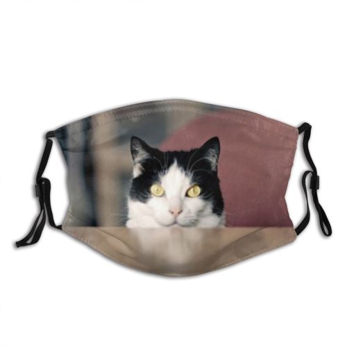 yanfind Happiness Fur Life Young Striped Cat Kitty Cute Hungry Staring Room Watching Dust Washable Reusable Filter and Reusable Mouth Warm Windproof Cotton Face