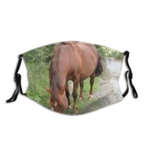yanfind Grazing Vertebrate Mare Mustang Wildlife Horse Sorrel Stallion Horse Mane Dust Washable Reusable Filter and Reusable Mouth Warm Windproof Cotton Face