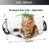 yanfind Isolated Fur Young Cat Cute Carnivore Downy Purr Pedigree Posing Puss Charming Dust Washable Reusable Filter and Reusable Mouth Warm Windproof Cotton Face