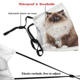 yanfind Isolated Fur Young Yelloweye Cat British Cute Shorthair Old Pedigree Baby Space Dust Washable Reusable Filter and Reusable Mouth Warm Windproof Cotton Face