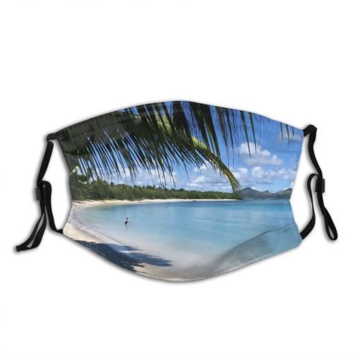 yanfind Clear Lagoon Beach Shore Sky Tropics Paradise Beach Vacation Palm Tree Tree Dust Washable Reusable Filter and Reusable Mouth Warm Windproof Cotton Face