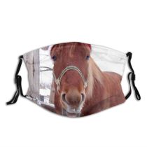 yanfind Holidays Winter Christmas Tack Chestnut Horse Silly Mane Pack Equestrian Navidad Comp Dust Washable Reusable Filter and Reusable Mouth Warm Windproof Cotton Face