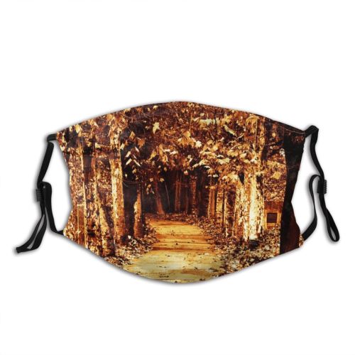 yanfind Deciduous Alley Sunlight Leaf Plant Tree Plant Forest Autumn Road Alley Woody Dust Washable Reusable Filter and Reusable Mouth Warm Windproof Cotton Face