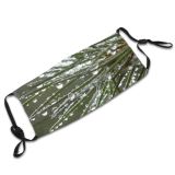 yanfind Plant Evergreen Plant Branch Terrestrial Forest Rain Drop Pine Pine Tree Tree Dust Washable Reusable Filter and Reusable Mouth Warm Windproof Cotton Face