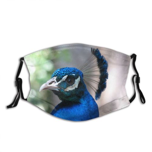 yanfind Roratus Eclectus Peahens Avian Phasianidae Beak Feather Peafowls Peafowl Electric Cobalt Peacocks Dust Washable Reusable Filter and Reusable Mouth Warm Windproof Cotton Face