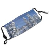 yanfind Winter Sky Spruce Winter Landscape Sky Balsam Shortleaf Spruce Snow Clouds Pine Dust Washable Reusable Filter and Reusable Mouth Warm Windproof Cotton Face