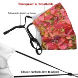 yanfind Flower Flowering Finland Leaf Plant Spring Lapland Tree Plant Autumn Petal Shrub Dust Washable Reusable Filter and Reusable Mouth Warm Windproof Cotton Face