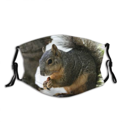 yanfind Vertebrate Ground Squirrel Fox Squirrel Nuts Grey Whiskers Rodent Squirrels Snout Wildlife Dust Washable Reusable Filter and Reusable Mouth Warm Windproof Cotton Face