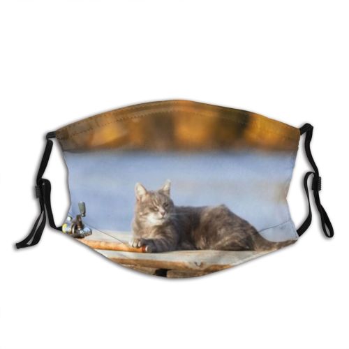 yanfind Garden Lovely Fur Lake Striped Cat Young Cute Fisherman Cozy Fishing Open Dust Washable Reusable Filter and Reusable Mouth Warm Windproof Cotton Face