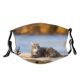 yanfind Garden Lovely Fur Lake Striped Cat Young Cute Fisherman Cozy Fishing Open Dust Washable Reusable Filter and Reusable Mouth Warm Windproof Cotton Face
