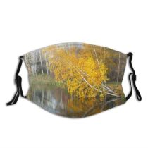 yanfind Leaf Woody Landscape Reflection Leaf Fall River Tree Plant Natural Autumn Autumn Dust Washable Reusable Filter and Reusable Mouth Warm Windproof Cotton Face
