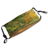 yanfind Natural Leaves Landscape Maple Colorful Leaf Forest Hardwood Bench Leaf Northern Tree Dust Washable Reusable Filter and Reusable Mouth Warm Windproof Cotton Face