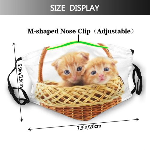 yanfind Friends Isolated Happiness Little Kitty Kittens Basket Attentive Baby Beautiful Children Favorite Dust Washable Reusable Filter and Reusable Mouth Warm Windproof Cotton Face