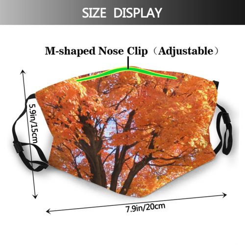 yanfind Natural Autumn Woody Leaves Landscape Maple Plant Fall Branch Leaf Tree Tree Dust Washable Reusable Filter and Reusable Mouth Warm Windproof Cotton Face
