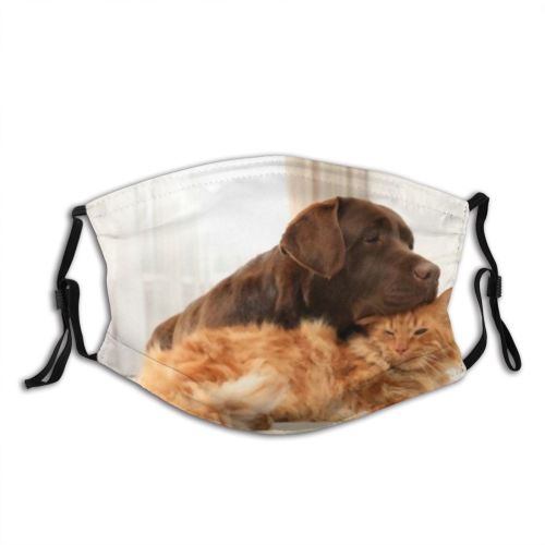 yanfind Friends Lovely Whisker Fur Together Cat Kitty Cute Doggie Resting Friendly Dog   Dust Washable Reusable Filter and Reusable Mouth Warm Windproof Cotton Face