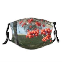yanfind Hawthorn Plant Pond Berry Tree Tree Rowan Plant Hawthorn Berry Fruit Woody Dust Washable Reusable Filter and Reusable Mouth Warm Windproof Cotton Face