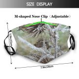 yanfind Winter Thistle Frost Plant Thorns Wildflower Plant Spines Frost Grass Winter Freezing Dust Washable Reusable Filter and Reusable Mouth Warm Windproof Cotton Face