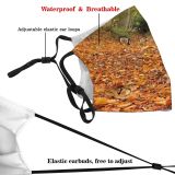yanfind Path Natural Autumn Leaves Fallen Landscape Fall Wood Leaf Walk Forest Hardwood Dust Washable Reusable Filter and Reusable Mouth Warm Windproof Cotton Face