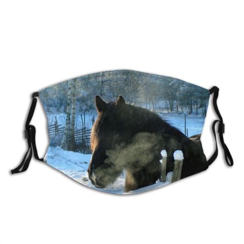 yanfind Winter Vertebrate Landscape Wildlife Horse Winter Freezing Sun Snow Snout Horse Mane Dust Washable Reusable Filter and Reusable Mouth Warm Windproof Cotton Face