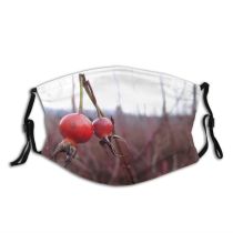 yanfind Winter Rose Macro Plant Twig Tree Winter Fruit Hip Plants Dry Rosehips Dust Washable Reusable Filter and Reusable Mouth Warm Windproof Cotton Face