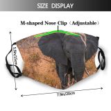 yanfind Kruger Park Dry Wild Safari Trunk Grass Bush Endangered Outdoors Trees Elephant Dust Washable Reusable Filter and Reusable Mouth Warm Windproof Cotton Face
