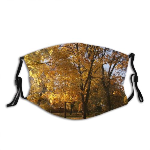 yanfind Deciduous Landscape Leaf Plant Tree Plant Autumn Natural Autumn Grove Woody Dust Washable Reusable Filter and Reusable Mouth Warm Windproof Cotton Face