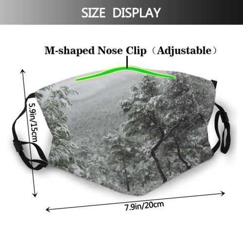 yanfind Winter Winter Atmospheric Woody Landscape Vegetation Branch Snow Tree Frost Alicante Spain Dust Washable Reusable Filter and Reusable Mouth Warm Windproof Cotton Face