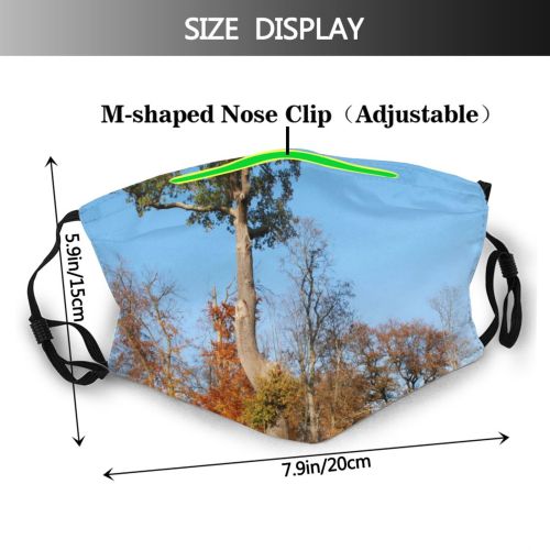 yanfind Bushes Trunk Natural Woody Leaves Landscape Sky Plant Romantic Bush Wood Leaf Dust Washable Reusable Filter and Reusable Mouth Warm Windproof Cotton Face