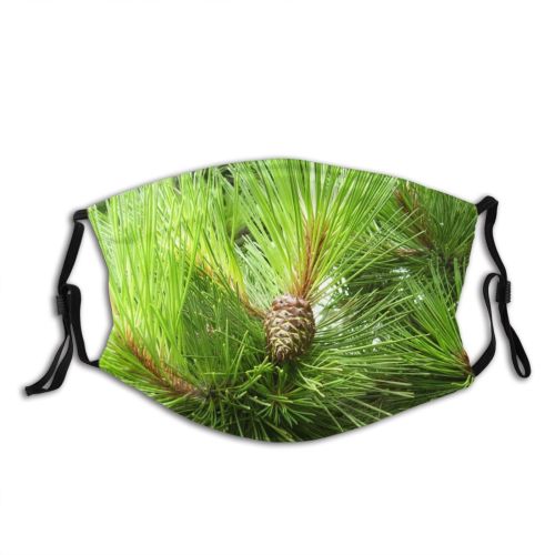 yanfind Pinecone Sugar Spruce Cone Western Pine Loblolly Shortstraw Japanese Tree Pine Garden Dust Washable Reusable Filter and Reusable Mouth Warm Windproof Cotton Face