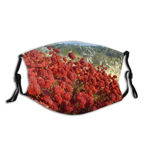 yanfind Flowering Hlls Plant Fall Flowers Wildflowers Plant Autumn California Sumac Flower Dust Washable Reusable Filter and Reusable Mouth Warm Windproof Cotton Face