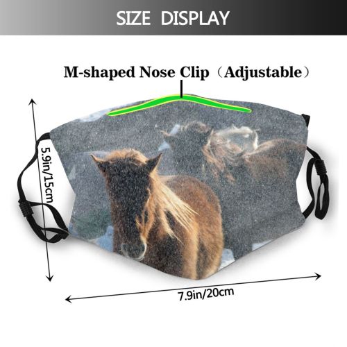 yanfind Winter Frozen Coat Shetland Pony Winter Furry Horses Horse Caballos Mane Sky Dust Washable Reusable Filter and Reusable Mouth Warm Windproof Cotton Face