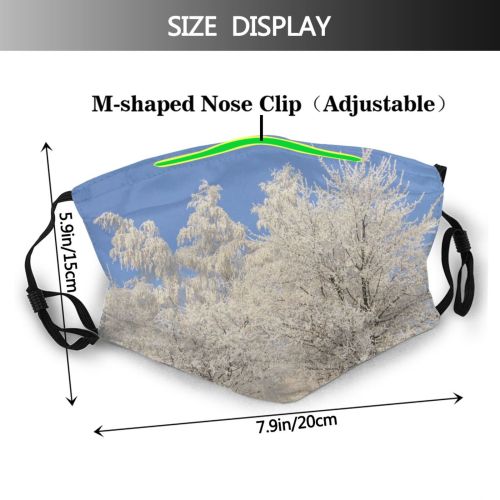yanfind Winter Frozen Winter Woody Wojkowice Sky Plant Branch Wood Poland Snow Forest Dust Washable Reusable Filter and Reusable Mouth Warm Windproof Cotton Face