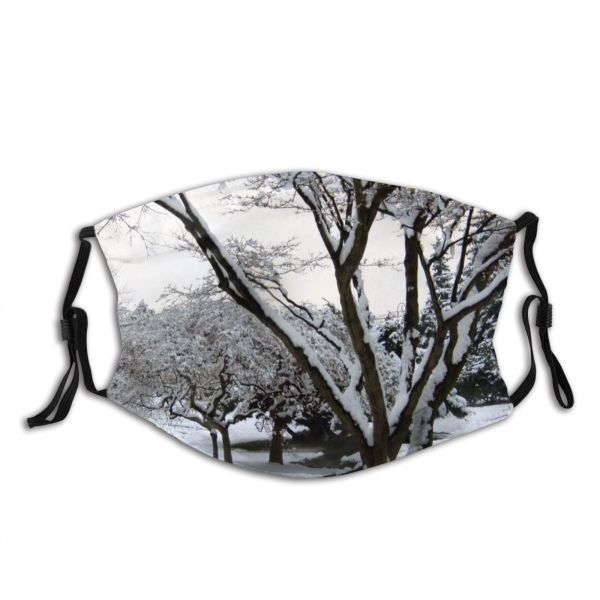 yanfind Winter Landscape Trees Plant Twig Tree Tree Branch Plant Frost Winter Natural Dust Washable Reusable Filter and Reusable Mouth Warm Windproof Cotton Face