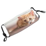 yanfind Lovely Fur Hunter Young Little Cat Kitty Cute Striped Attention Fuzzy Lazy Dust Washable Reusable Filter and Reusable Mouth Warm Windproof Cotton Face