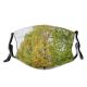 yanfind Spring Sky Autumn Woody Row Sky Plant Branch Plane Leaf Tree Tree Dust Washable Reusable Filter and Reusable Mouth Warm Windproof Cotton Face