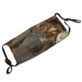 yanfind Vertebrate Chipmunk Ground Squirrel Fox Squirrel Grey Whiskers Squirrels Snout Wildlife Dust Washable Reusable Filter and Reusable Mouth Warm Windproof Cotton Face