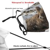 yanfind Winter Rocky Barbary Goat Forrest Rocks Ice Goats Goats Mountain Pine Rock Dust Washable Reusable Filter and Reusable Mouth Warm Windproof Cotton Face
