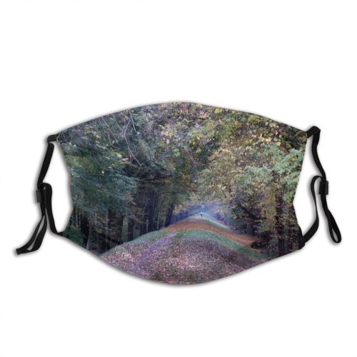 yanfind Natural Autumn Landscape Fall Road Walk Forest Leaf Tree Forest Road Autumn Dust Washable Reusable Filter and Reusable Mouth Warm Windproof Cotton Face