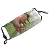 yanfind Grazing Vertebrate Mare Mustang Wildlife Horse Sorrel Stallion Horse Mane Dust Washable Reusable Filter and Reusable Mouth Warm Windproof Cotton Face