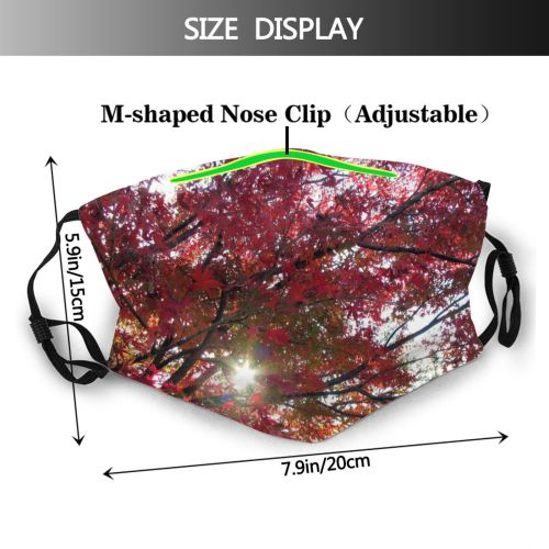 yanfind Maple Sun Autumn Woody Leaves Sky Plant Fall Branch Japan Leaf Leaf Dust Washable Reusable Filter and Reusable Mouth Warm Windproof Cotton Face