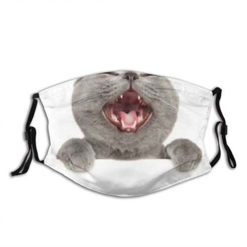yanfind Crazy Isolated Interested Whisker Young Straight Cat Board British Cute Pure Shorthair Dust Washable Reusable Filter and Reusable Mouth Warm Windproof Cotton Face
