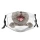 yanfind Crazy Isolated Interested Whisker Young Straight Cat Board British Cute Pure Shorthair Dust Washable Reusable Filter and Reusable Mouth Warm Windproof Cotton Face