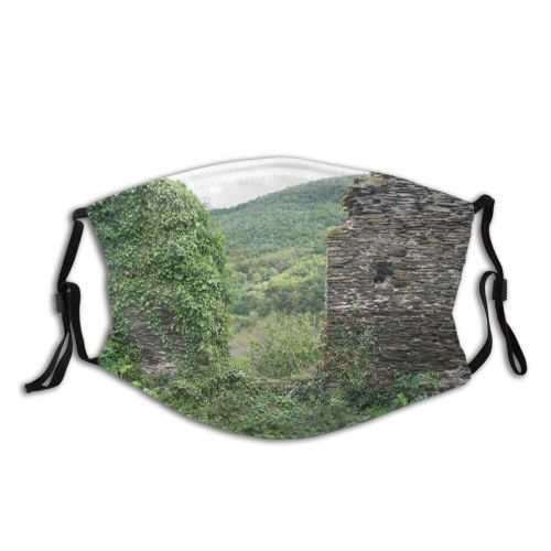 yanfind Wall Family Vegetation Wall Plant Leaf Tree Ruins Grass Castle Shrub Dust Washable Reusable Filter and Reusable Mouth Warm Windproof Cotton Face