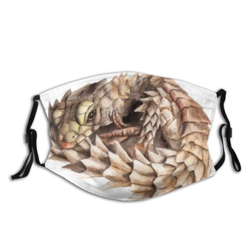 yanfind Abstract Isolated Cordylidae Cute Biology Wildlife Design Beautiful Dragon Eyes Art Watercolor Dust Washable Reusable Filter and Reusable Mouth Warm Windproof Cotton Face