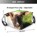 yanfind Family Vertebrate Portait Terrestrial Sheep Grass Cow Pasture Snout Goat Sheep Dust Washable Reusable Filter and Reusable Mouth Warm Windproof Cotton Face