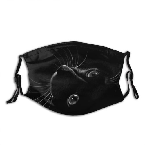 yanfind Isolated Halloween International Cat Cute Old Natural Night Pictures Vintage Embroidery Design Dust Washable Reusable Filter and Reusable Mouth Warm Windproof Cotton Face