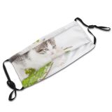 yanfind Attractive Isolation Cat Cute Tender Kittens Nose Tiny Self Beautiful Fluffy. Gentle Dust Washable Reusable Filter and Reusable Mouth Warm Windproof Cotton Face