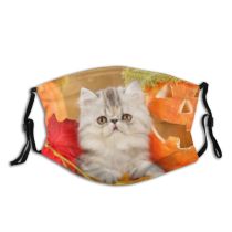 yanfind Foliage Fall Kitten Halloween Season Autumn Cat Cute Leaf Pumpkin Greenery Colorful Dust Washable Reusable Filter and Reusable Mouth Warm Windproof Cotton Face